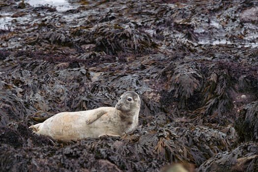Cancelación de factores comunes en fracciones 6 cancelacion de factores comunes 1
