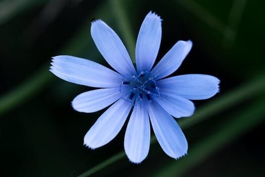 Cancelación de factores comunes en fracciones 7 cancelacion de factores comunes 2