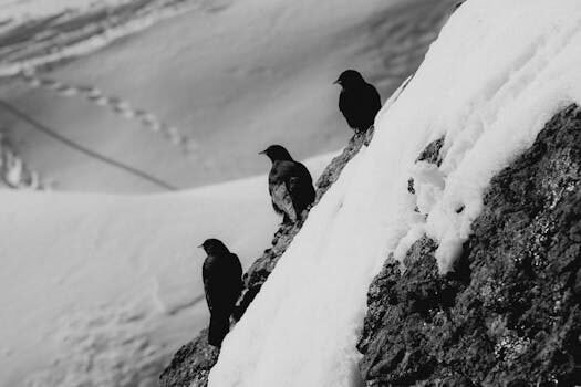 cancelacion de vuelos hoy 3
