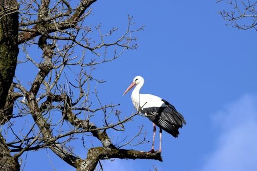 cancelacion de vuelos hoy 4