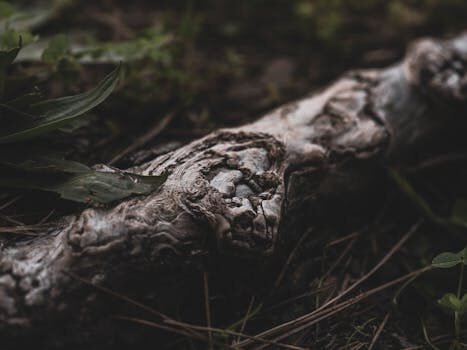 ¿Cómo rectificar el modelo 111? 7 como rectificar el modelo 111 3