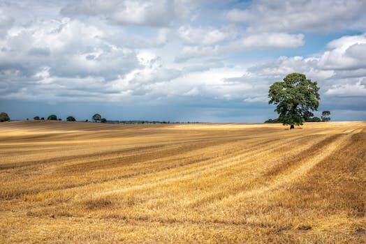 declarar solares y fincas rusticas en la declaracion de la renta 1