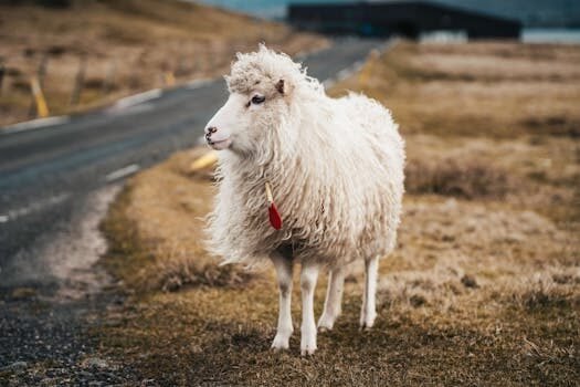 fecha de expedicion del dni permanente 2
