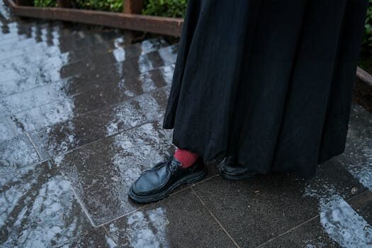 ¿Qué es una declaración complementaria? 6 que es una declaracion complementaria 2